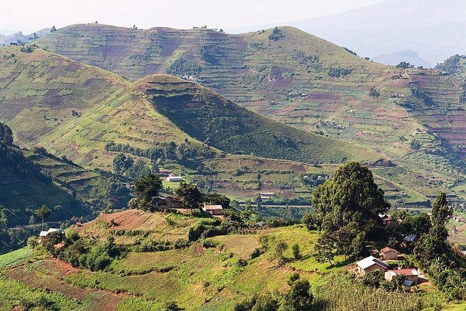 2days Bwindi NP gorilla trekking - FAQs