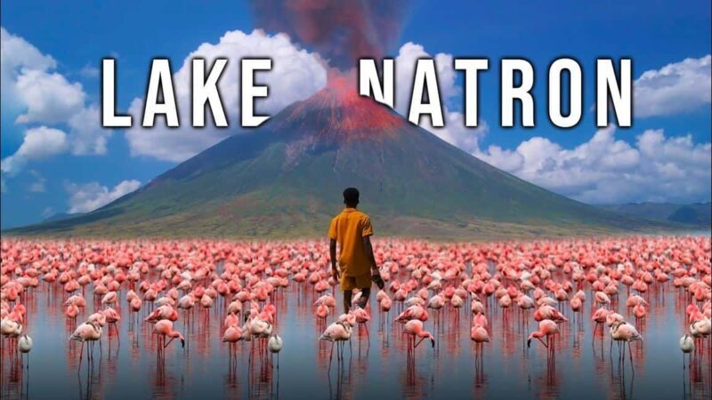 2Days Magical Lake Natron Safari - Who Will Love This Tour?