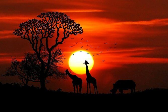 2days Spectacular Tanzania Safari - Detailed Breakdown of the Safari Experience