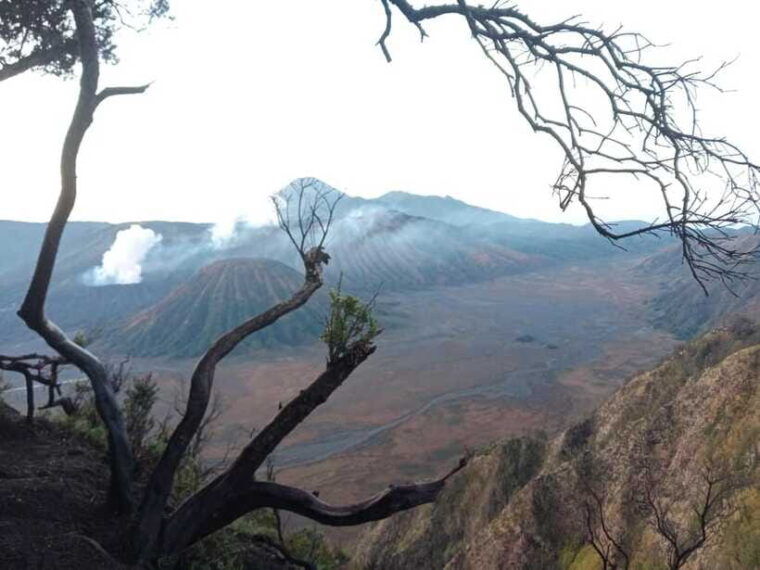2days1nights-bromo-midnight-ijen-crater-drop-ketapang-port