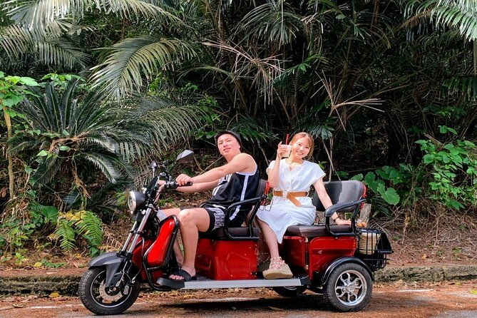 2h-3-seater-electric-trike-rental-ishigaki-okinawa