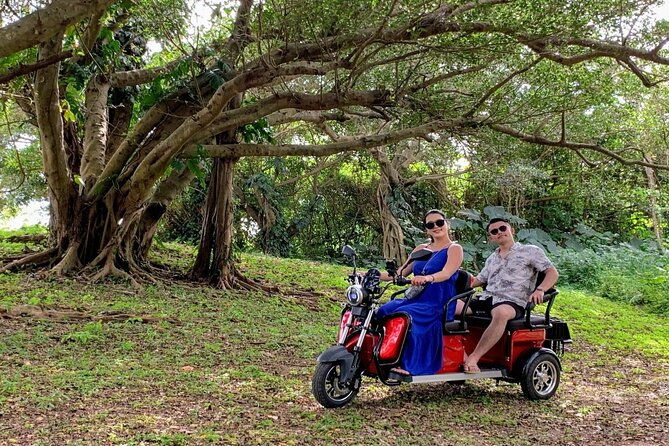 2h-3-seater-electric-trike-rental-ishigaki-okinawa
