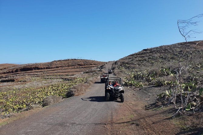 2h-buggy-tour-guided-by-the-north-of-lanzarote