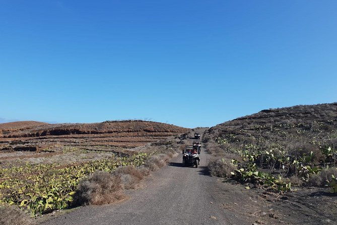 2h-buggy-tour-guided-by-the-north-of-lanzarote