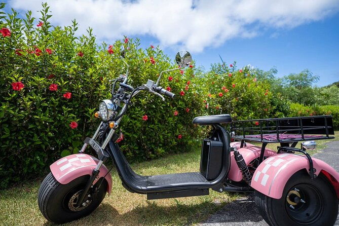 2h-electric-trike-rental-in-okinawa-ishigaki
