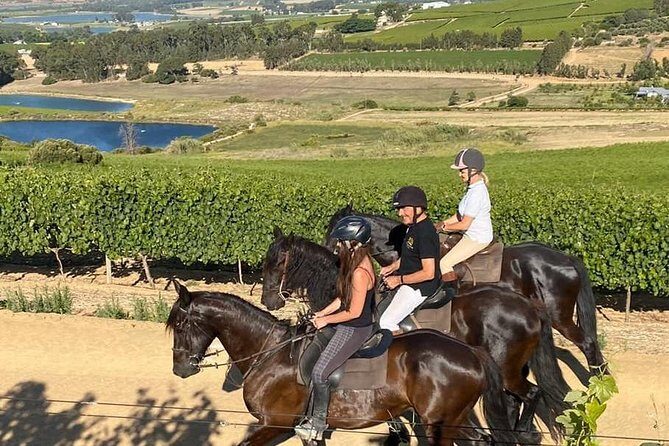 2h  Horse Trail - Key Points