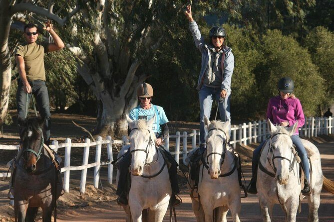 2h  Horse Trail - The Meeting Point and Arrival Expectations