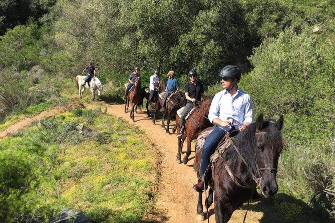2h  Horse Trail - The Trail Itself: Variety and Views