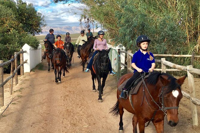 2h  Horse Trail - The Experience for Different Rider Levels
