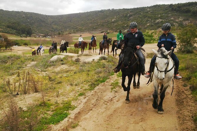 2h  Horse Trail - Safety and Comfort Measures