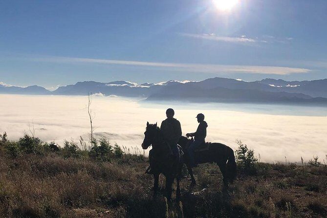 2h  Horse Trail - Weather and Cancellation Policy