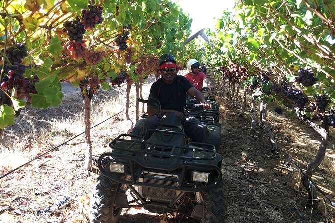 2h  Nature Quad Trail - Exploring the 2h Nature Quad Trail in Stellenbosch: A Genuine Adventure