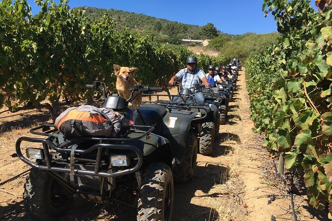 2h  Nature Quad Trail - Authentic Experiences & Reviewer Insights