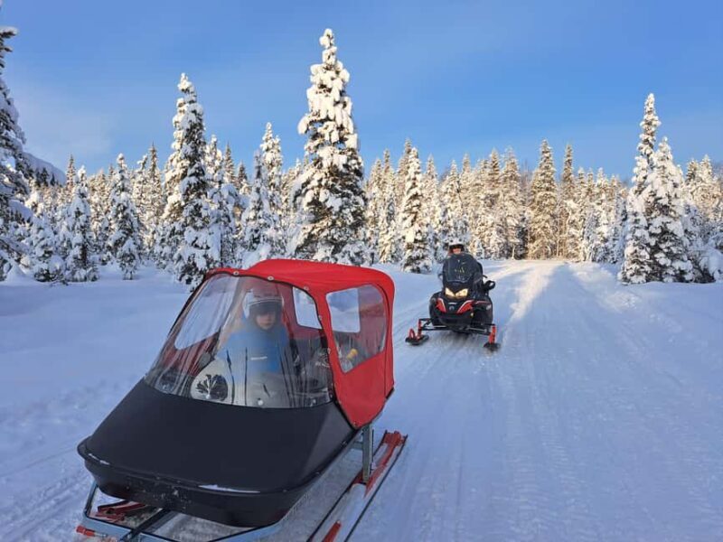 2h private snowmobile experience in Rovaniemi's forest - Key Points