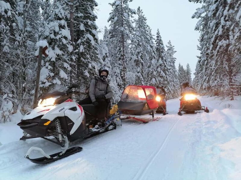 2h private snowmobile experience in Rovaniemi's forest - A Closer Look at the Experience