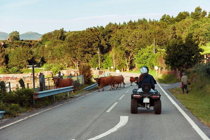 2h-quad-tour-arcos-de-valdevez-peneda-geres