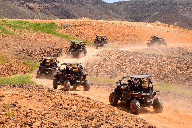 2h SSV Buggy Desert Adventure - 1000cc or 500cc - The Sum Up