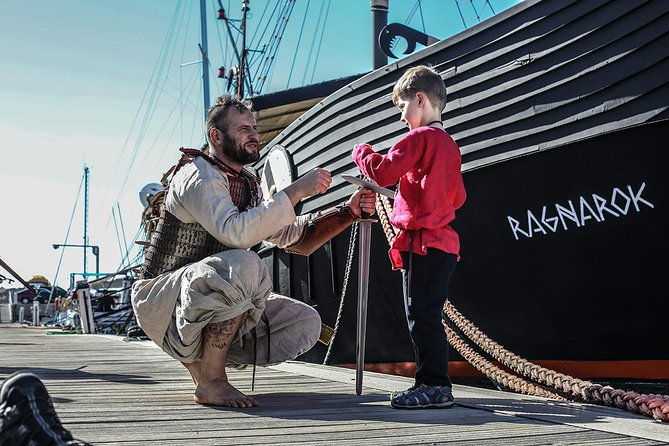 2h-viking-cruise-whales-and-dolphins-watching