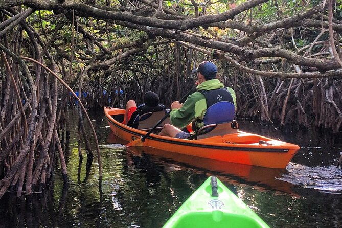 2hour-everglades-kayak-safari-adventure-through-mangrove-tunnels-2