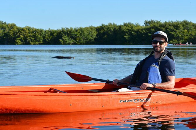 2hour-everglades-kayak-safari-adventure-through-mangrove-tunnels-2