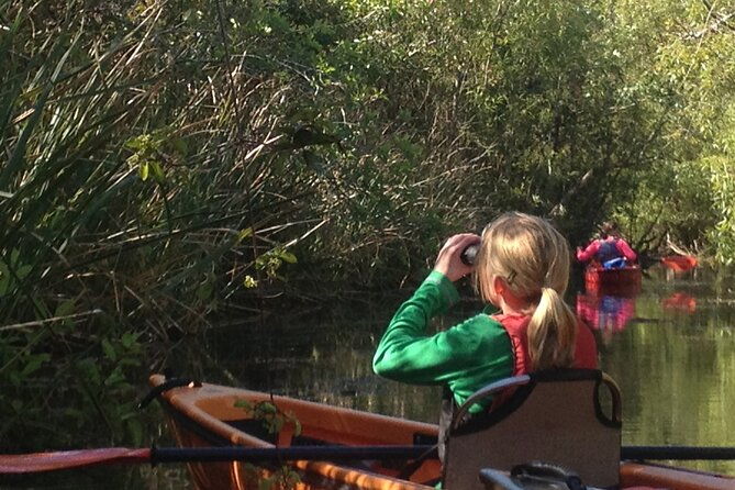 2hour-everglades-kayak-safari-adventure-through-mangrove-tunnels