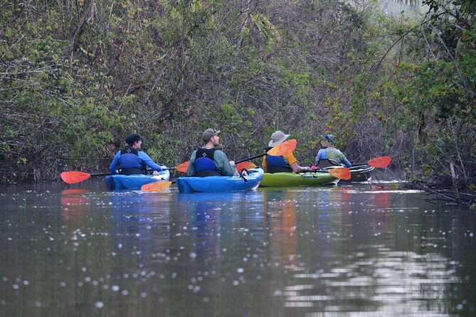 2hour-everglades-kayak-safari-adventure-through-mangrove-tunnels