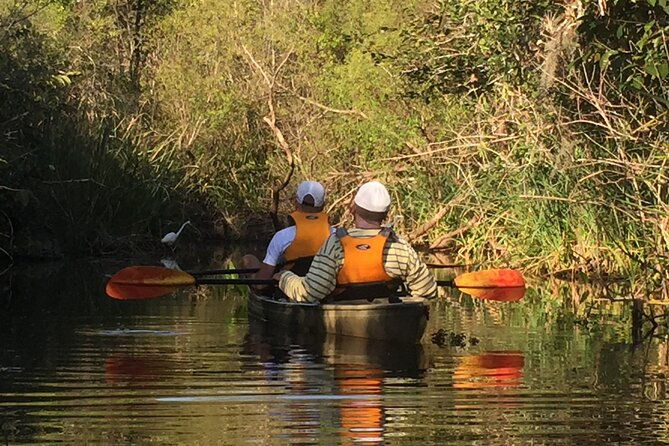 2hour-everglades-kayak-safari-adventure-through-mangrove-tunnels