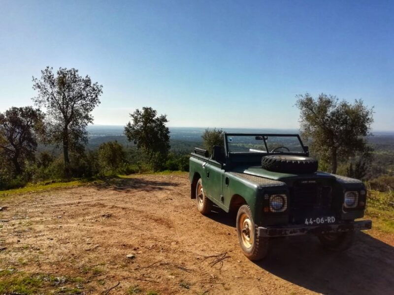 2hr-cork-safari-in-a-classical-land-rover