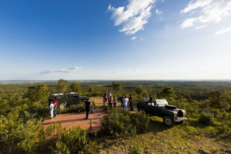 2hr-cork-safari-in-a-classical-land-rover