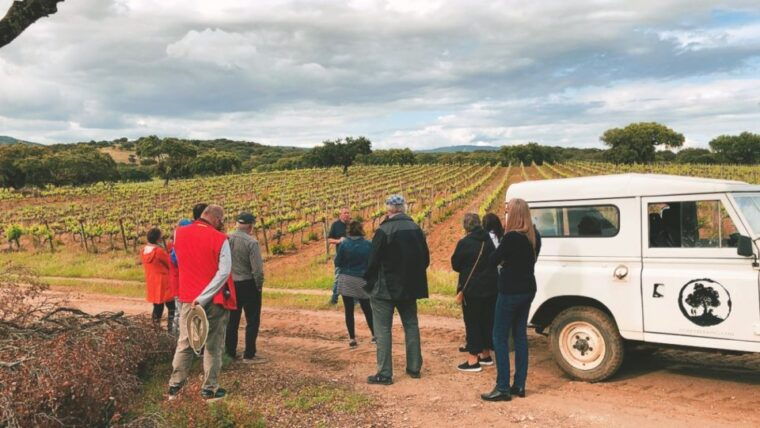 2hr-cork-safari-in-a-classical-land-rover
