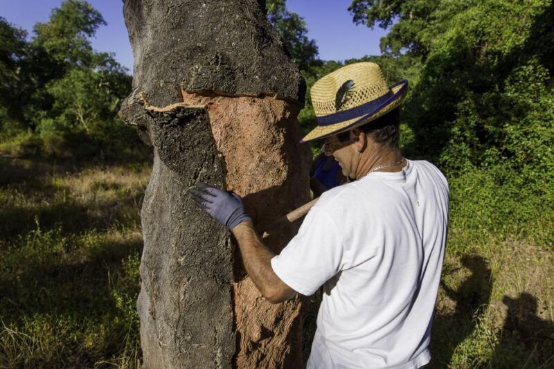 2hr-cork-tour-in-a-jeep
