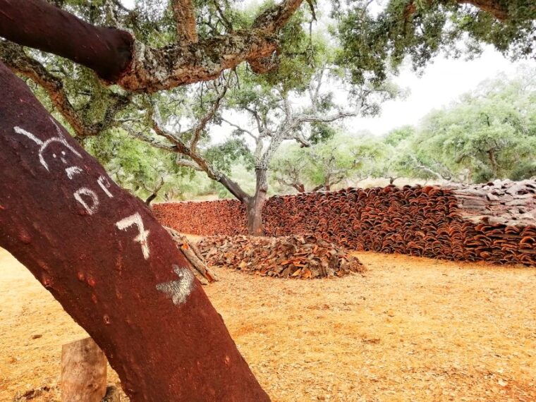 2hr-cork-tour-in-a-jeep