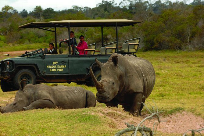2hr Guided Game Drive at 10h00; Kragga Kamma Game Park Ticket - Key Points