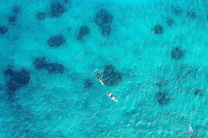 2hr-luxury-private-sailing-catamaran-for-7-12-people