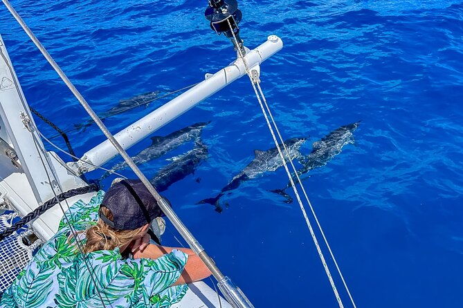 2hr-luxury-private-sailing-catamaran-in-waikiki-for-1-6-people-2