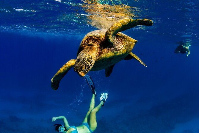 2hr-luxury-private-sailing-catamaran-in-waikiki-for-1-6-people-2