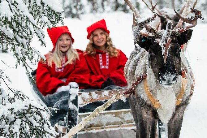 2km-sleigh-ride-feeding-experience-at-traditional-reindeer-farm