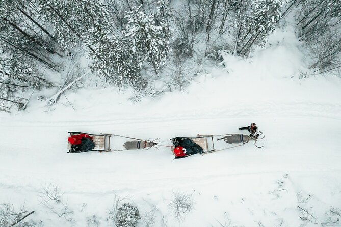 2km-sleigh-ride-feeding-experience-at-traditional-reindeer-farm