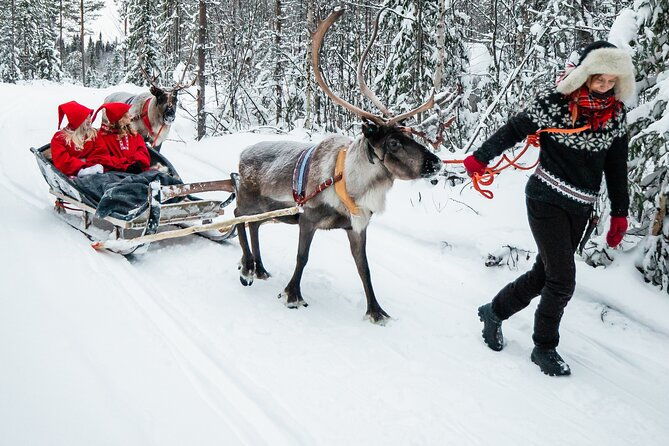 2km-sleigh-ride-feeding-experience-at-traditional-reindeer-farm
