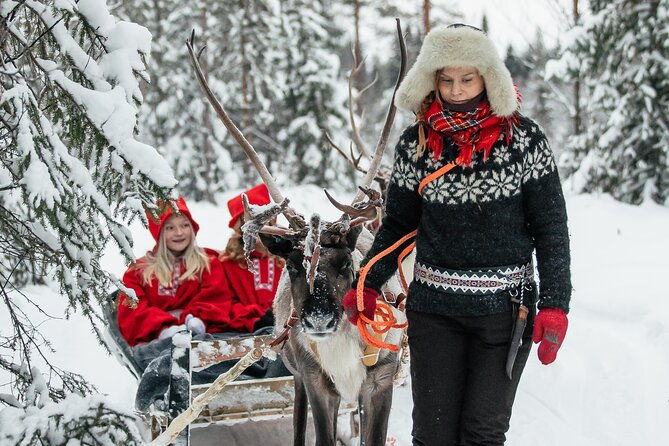 2km-sleigh-ride-feeding-experience-at-traditional-reindeer-farm