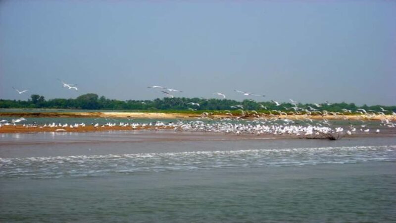 2N/3D Bhuwneshwar Konark Puri Golden Traingle Tour Package - FAQ