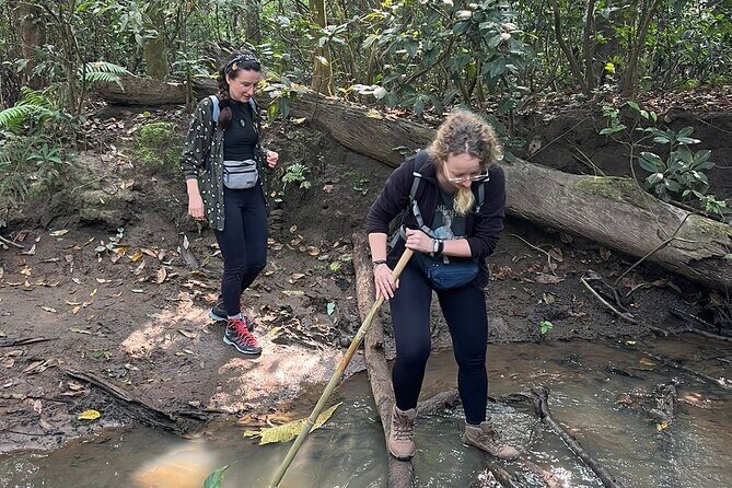 2Night 3Day Chitwan Jungle Tower Night Stay and CNP Nepal Safari - The Sum Up