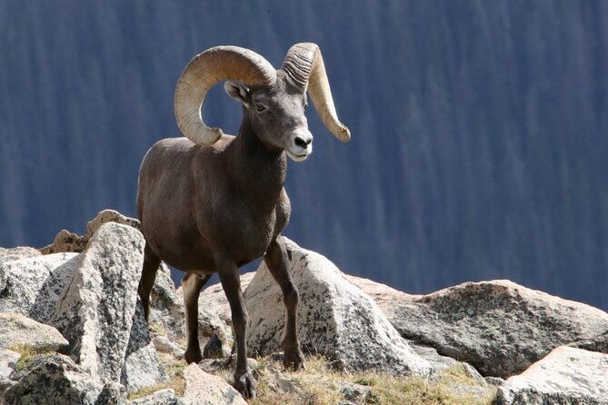 3-4-day-rocky-mountain-np-mountain-to-skybear-lake-rd-tour-rmnphotographer-2