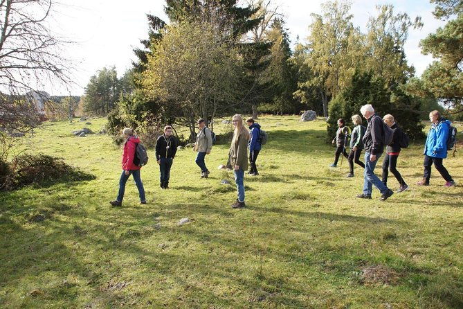 3-4h-viking-history-short-day-tour-from-stockholm
