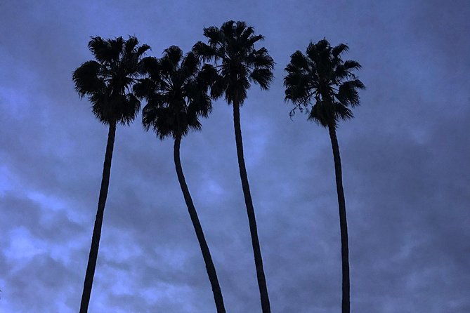 3-5-hour-coastal-tour-of-santa-monica-venice-beach-and-malibu