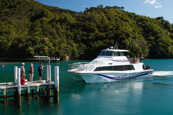 3.5 Hour Marlborough Sounds Delivery Cruise - Practical Details: What You Need to Know