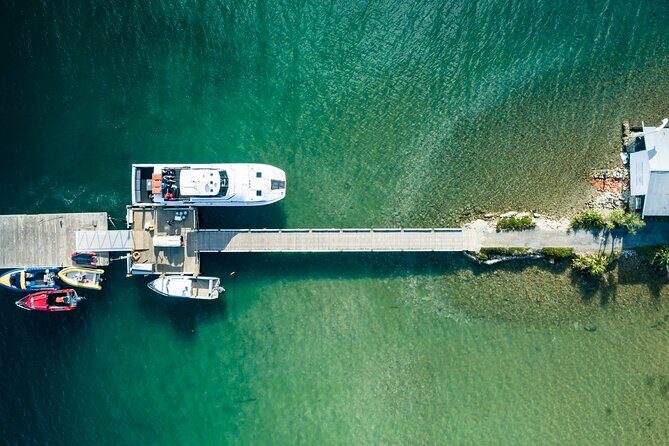 3.5 Hour Marlborough Sounds Delivery Cruise - The Verdict: Is This Cruise Worth It?