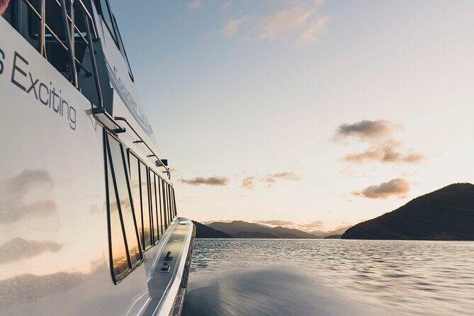 3.5 Hour Marlborough Sounds Delivery Cruise - Who Is This Cruise Best For?