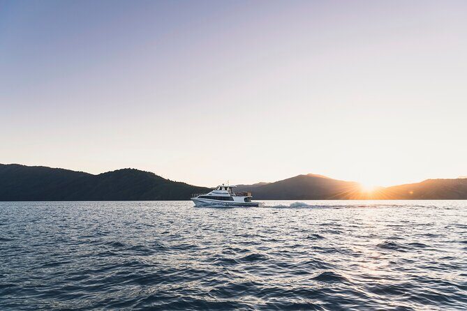 3.5 Hour Marlborough Sounds Delivery Cruise - FAQ: Your Practical Questions Answered