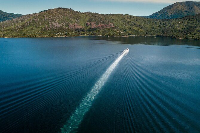 3.5 Hour Marlborough Sounds Delivery Cruise - Final Thoughts